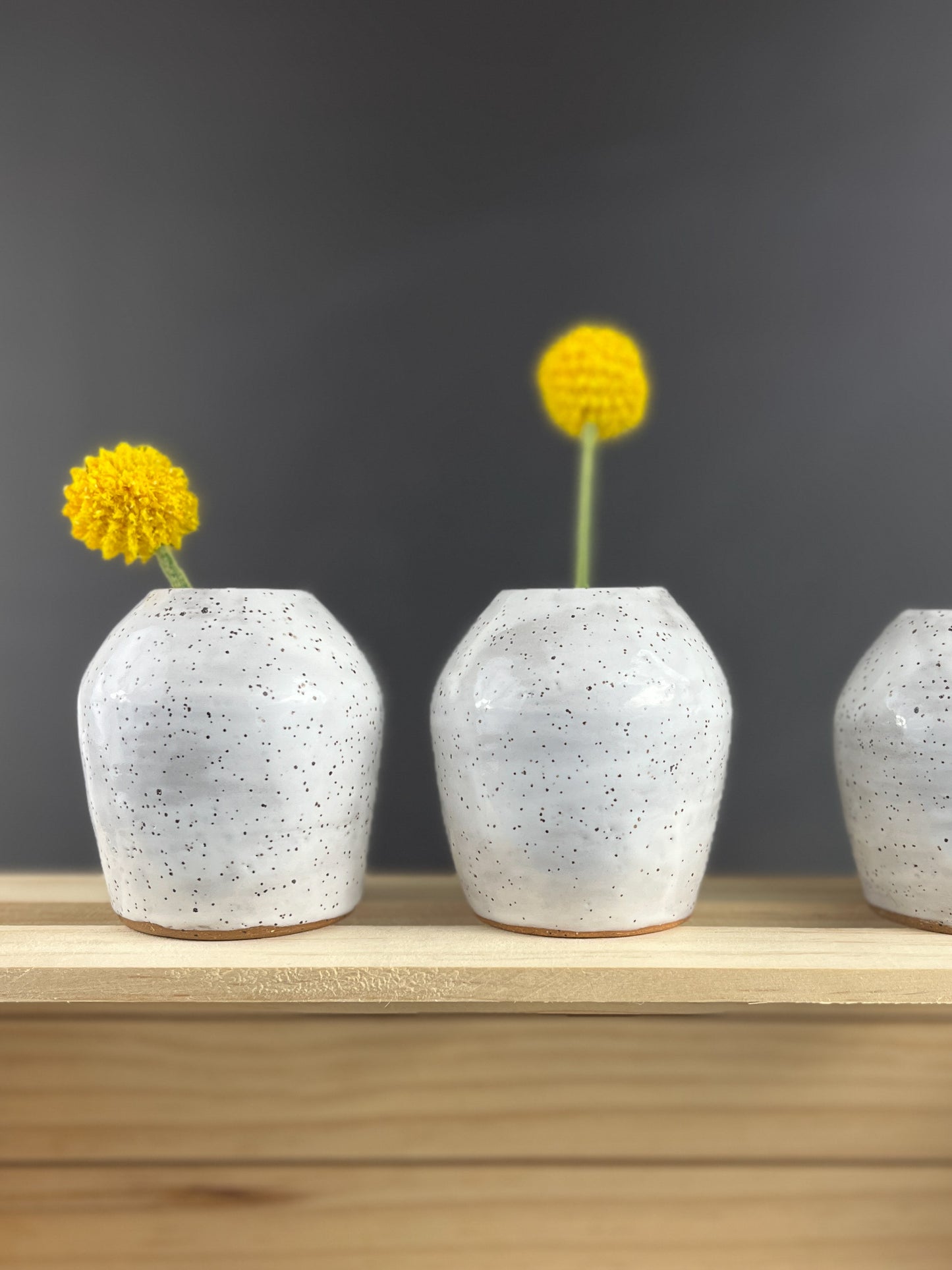 Bud Vase -3 Piece Set