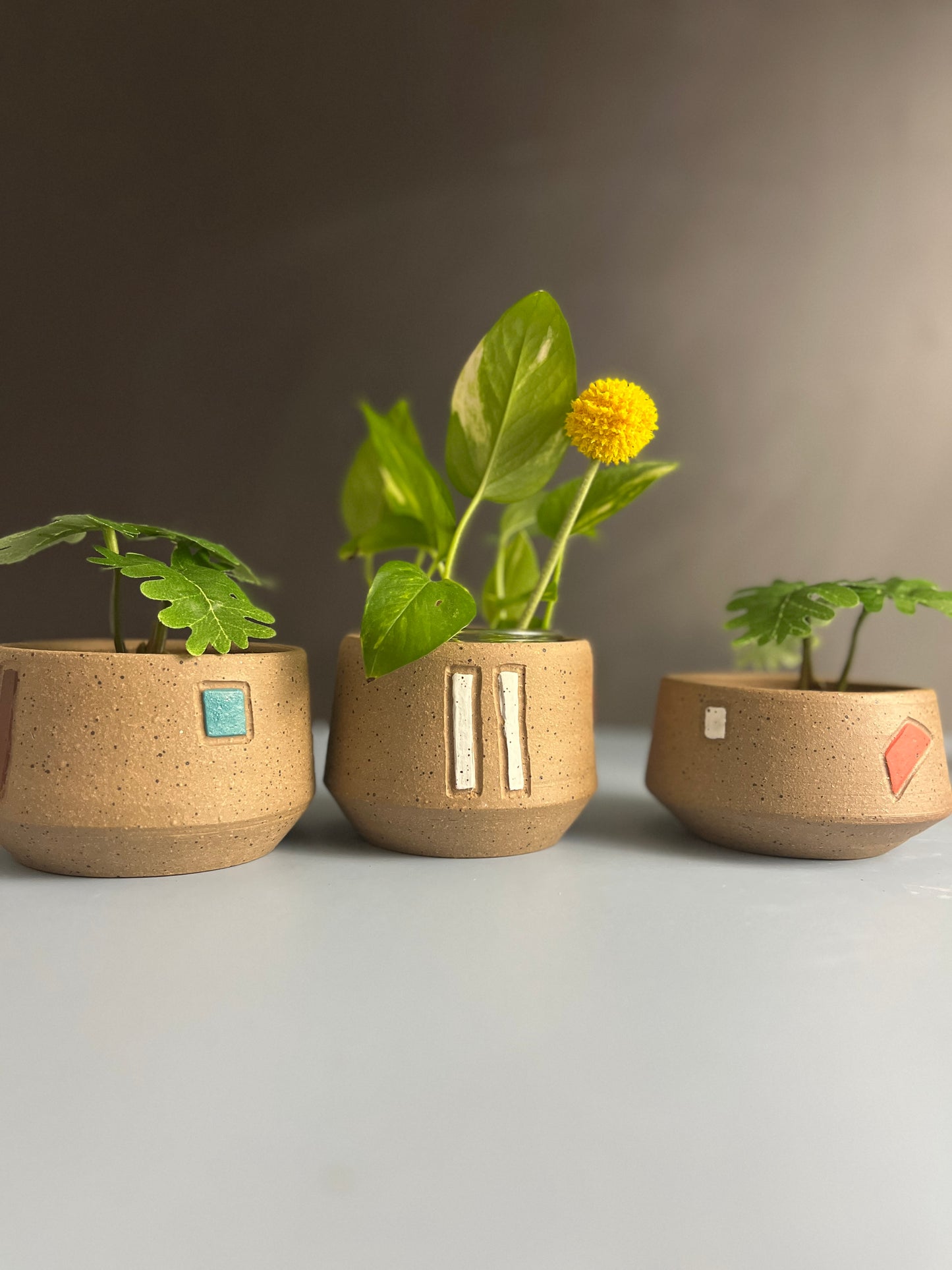 Planter -3 Piece Set