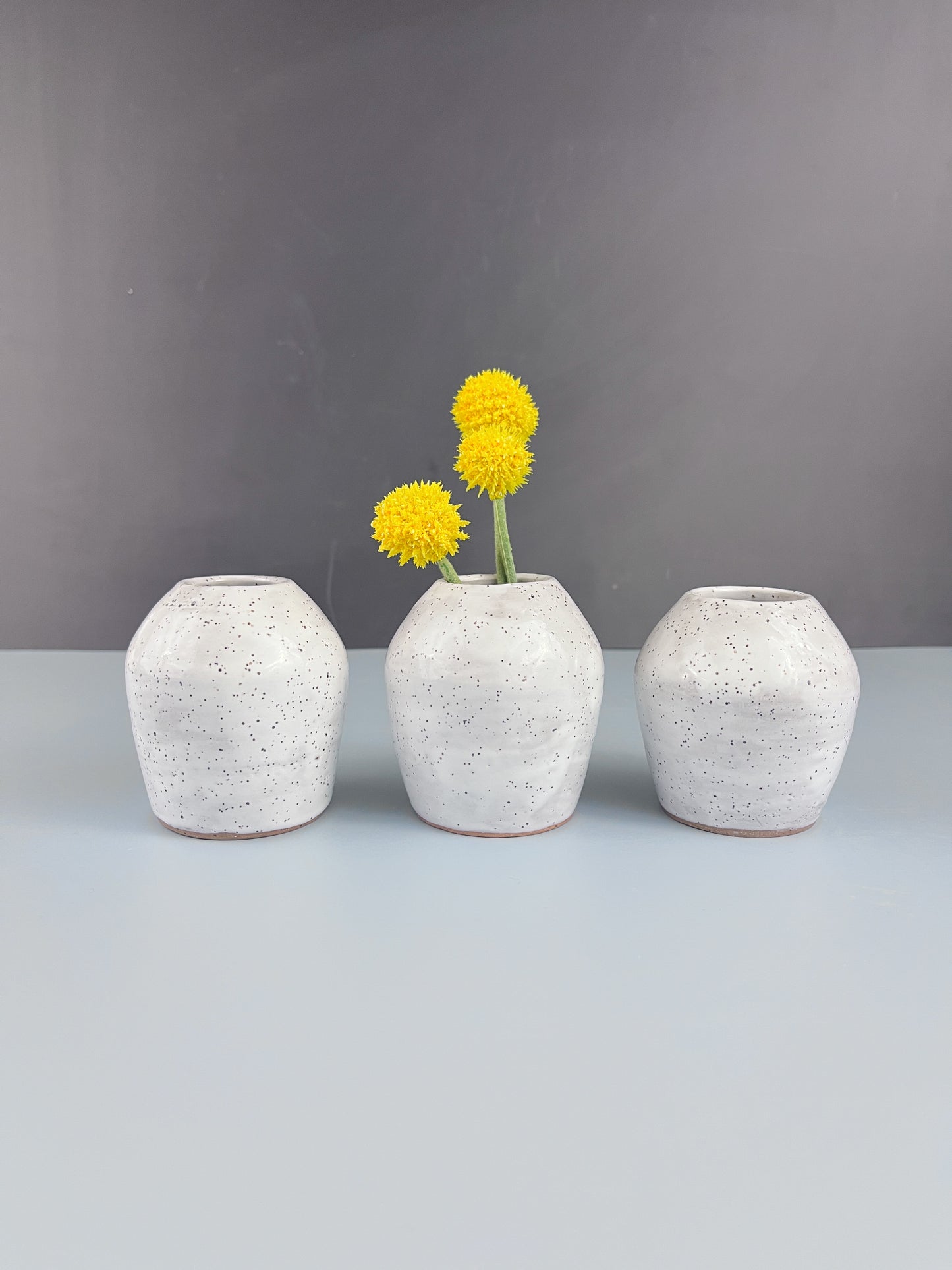 Bud Vase -3 Piece Set