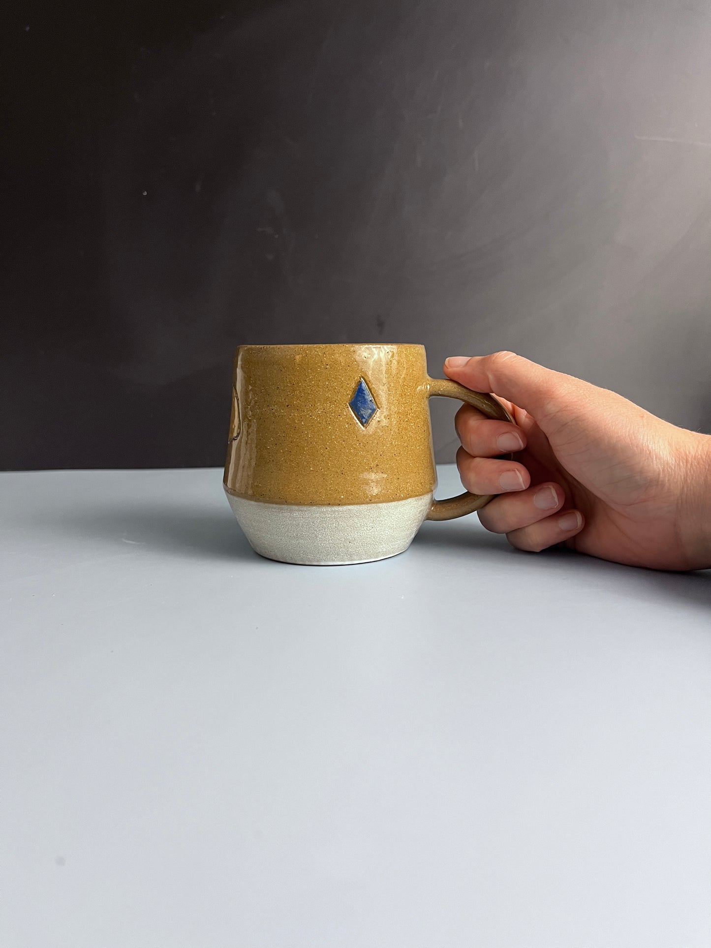 Mug - fire +ice